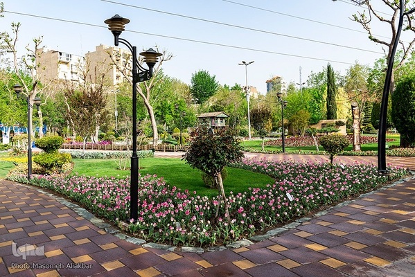 هشتمین جشنواره لاله کرج‎‎