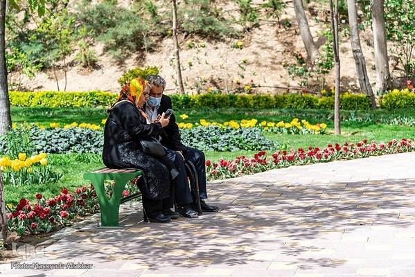 هشتمین جشنواره لاله کرج‎‎