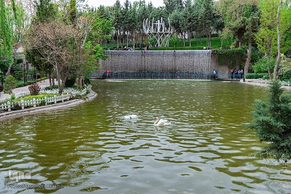 هشتمین جشنواره لاله کرج‎‎