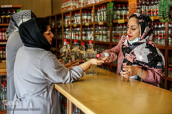 برداشت گل محمدی و گلاب گیری در میمند فارس‎‎