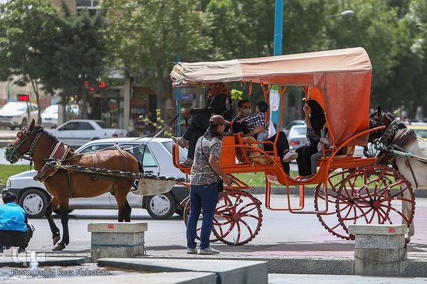 جشن پس از میهمانی ، آرامگاه باباطاهر