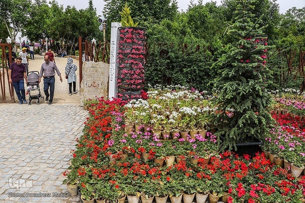 اردیبهشت در بهشت شیراز