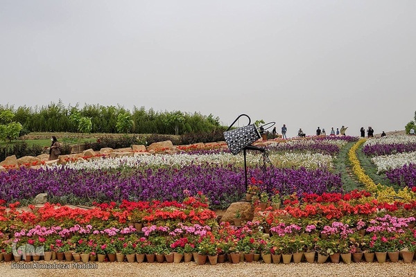 اردیبهشت در بهشت شیراز