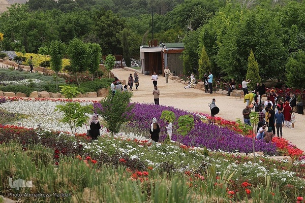 اردیبهشت در بهشت شیراز