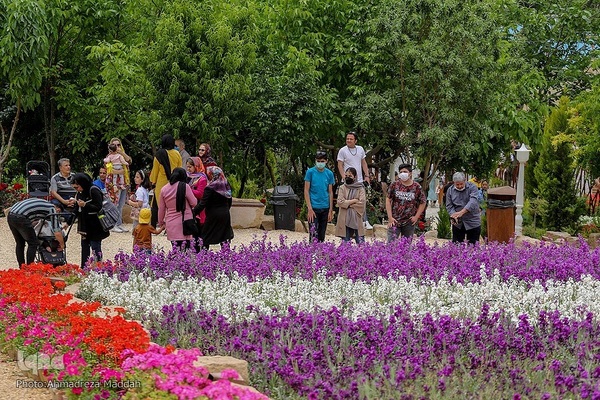 اردیبهشت در بهشت شیراز
