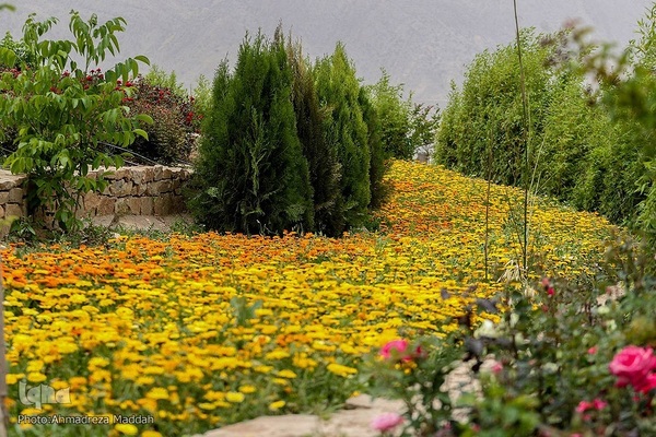 اردیبهشت در بهشت شیراز