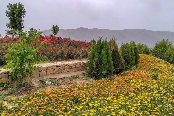 اردیبهشت در بهشت شیراز