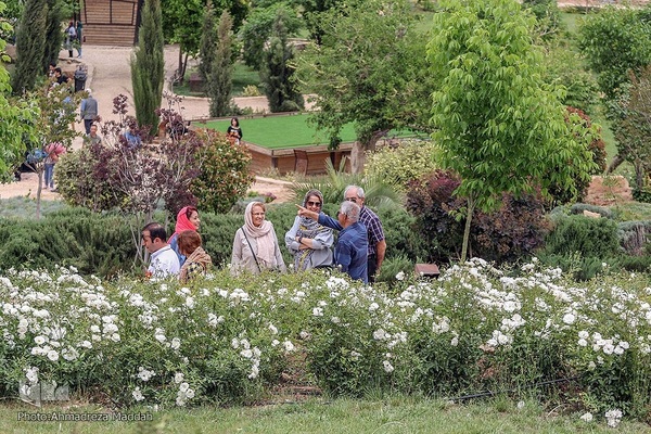 اردیبهشت در بهشت شیراز