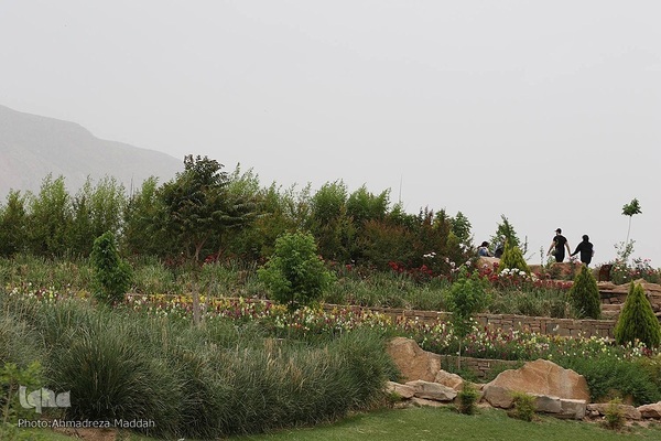 اردیبهشت در بهشت شیراز