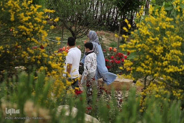اردیبهشت در بهشت شیراز