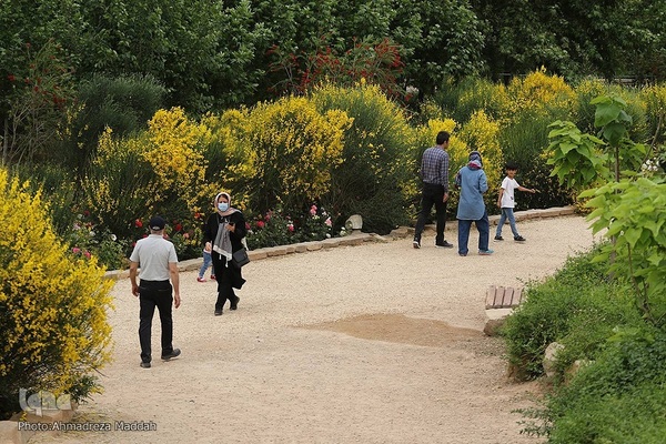 اردیبهشت در بهشت شیراز