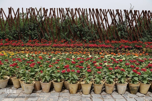 اردیبهشت در بهشت شیراز