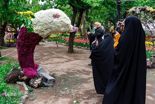 جشنواره لاله‌های آسارا‎‎