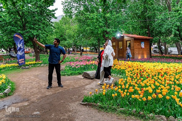 جشنواره لاله‌های آسارا‎‎