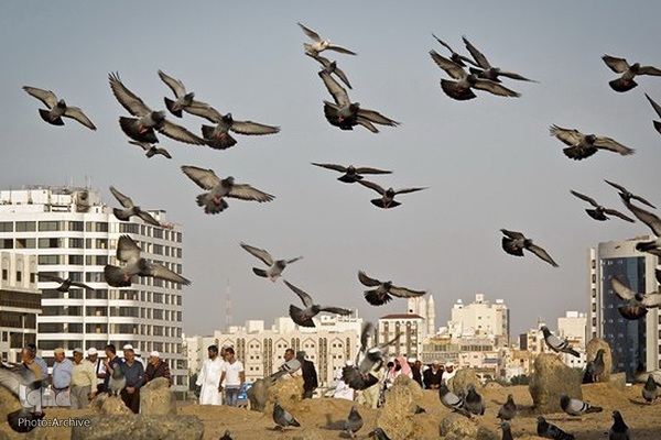 مزار امام جعفر صادق(ع) در قبرستان بقیع مدینه