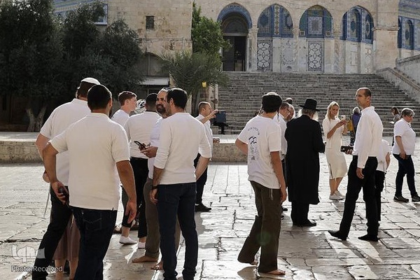 یورش شهرک نشینان صهیونیست به مسجد الاقصی