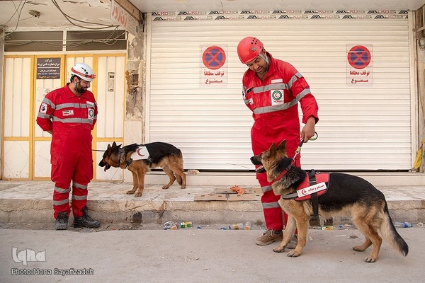 هفتمین روز ریزش برج متروپل آبادان
