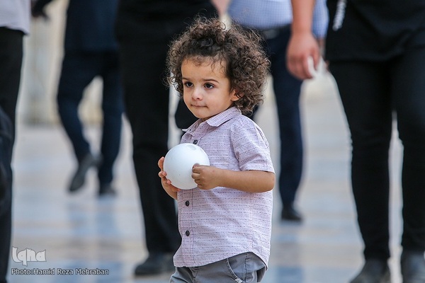 نمایشگاه دانش بنیان ها