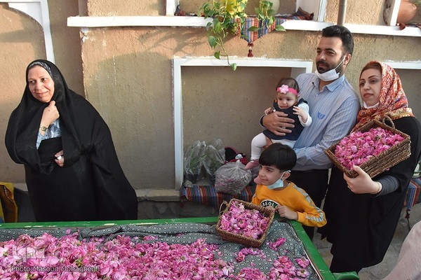 جشنواره گل محمدی در خانه تاریخی پورحسینی‌های شهر سمنان