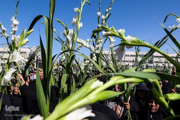 مراسم گلباران حرم مطهر رضوی در سالروز ولادت حضرت معصومه(س)