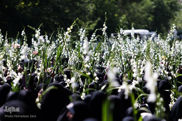 مراسم گلباران حرم مطهر رضوی در سالروز ولادت حضرت معصومه(س)