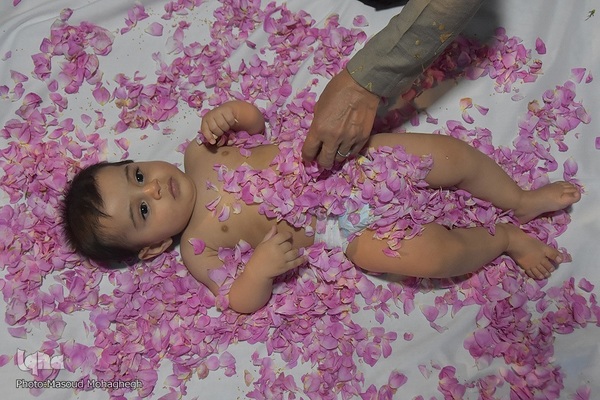 آیین گل‌غلتان نوزادان در خانه تاریخی پورحسینی های شهرستان سمنان