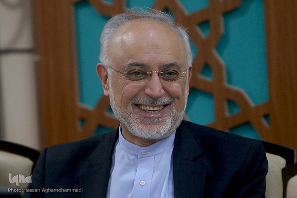  علی اکبر صالحی، معاون پژوهشی و قائم مقام فرهنگستان علوم 