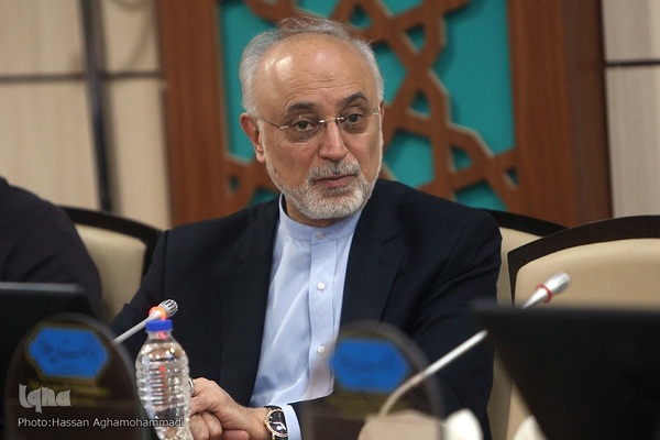  علی اکبر صالحی، معاون پژوهشی و قائم مقام فرهنگستان علوم 