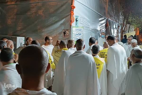 دعای عرفه حجاج ایرانی در صحرای عرفات