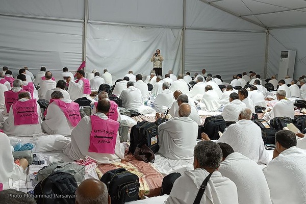 دعای عرفه حجاج ایرانی در صحرای عرفات