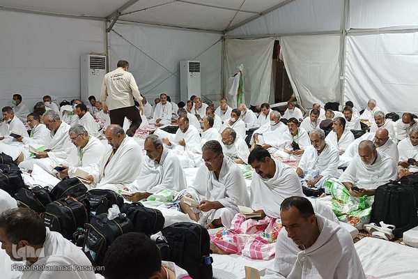 دعای عرفه حجاج ایرانی در صحرای عرفات