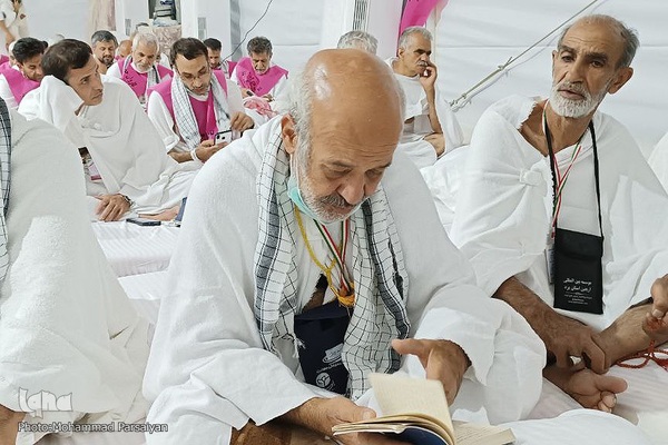 دعای عرفه حجاج ایرانی در صحرای عرفات