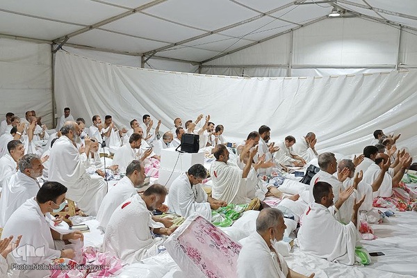 دعای عرفه حجاج ایرانی در صحرای عرفات