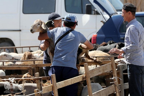 بازار قربانی عید قربان در کشورهای اسلامی