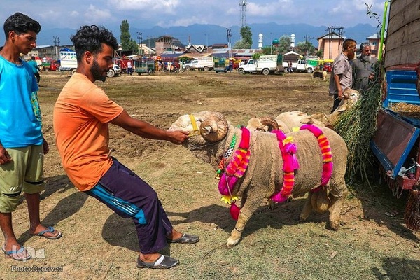 بازار قربانی عید قربان در کشورهای اسلامی