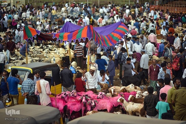 بازار قربانی عید قربان در کشورهای اسلامی