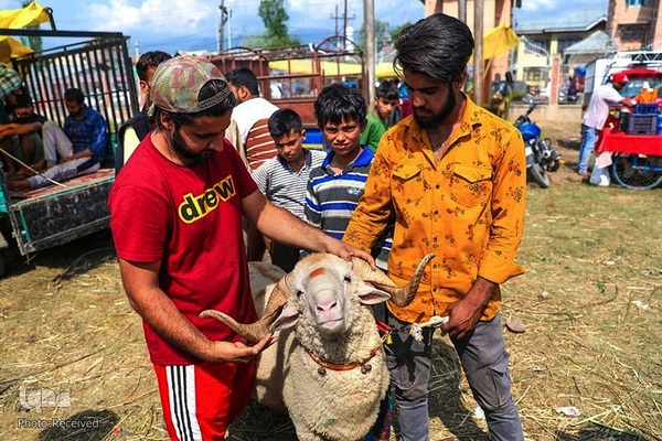 بازار قربانی عید قربان در کشورهای اسلامی