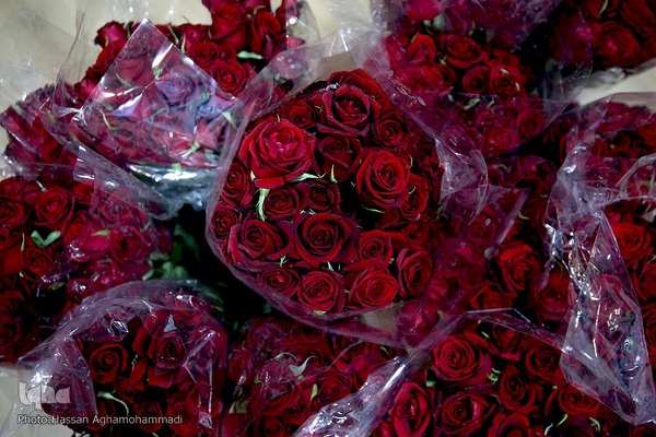 بدرقه‌ای با شاخه گل غدیر