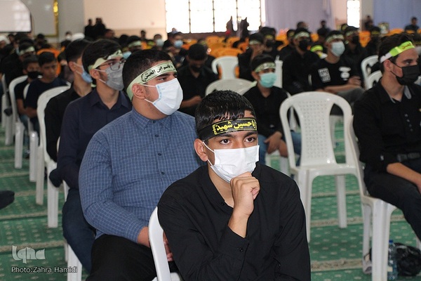 احلی من العصل ‎‎