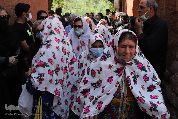 نخل‌گردانی روز عاشورا در روستای ابیانه