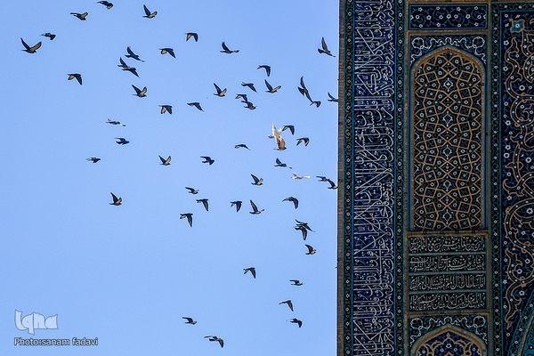 افراشته فیروزه‌ای؛ مسجد جامع اصفهان