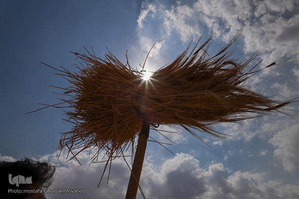 فصل برداشت گندم بزرگترین نعمت الهی از مزارع منطقه ارسباران