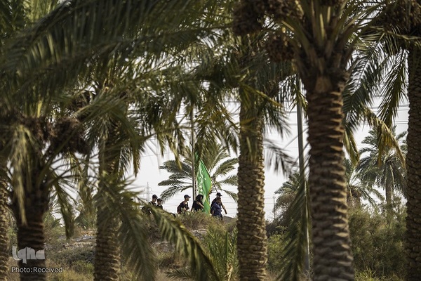 مشایه الی الکربلا