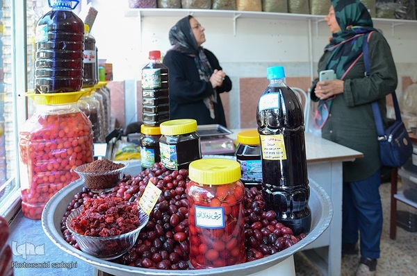 زغال اخته کلیبر از تولید تا فراوری‎‎