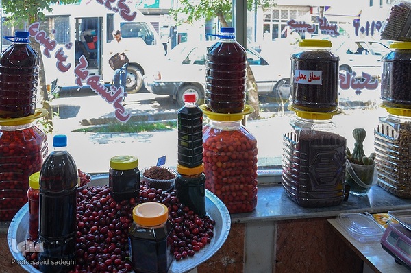 زغال اخته کلیبر از تولید تا فراوری‎‎