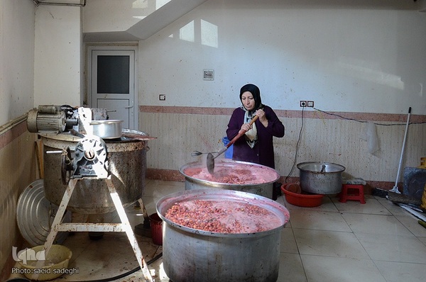 زغال اخته کلیبر از تولید تا فراوری‎‎