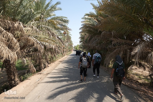 پیاده روی اربعین حسینی در منطقه طریق العلما و زرگه به سمت کربلای معلی