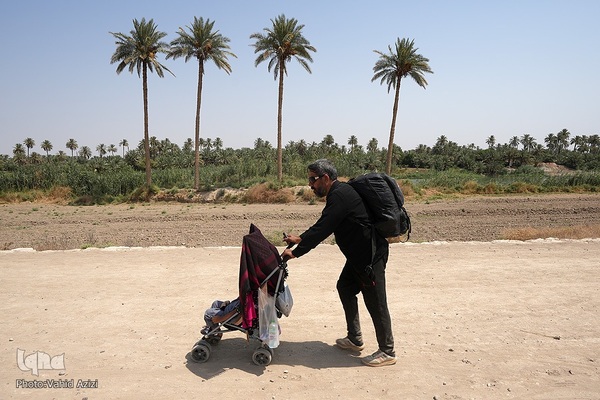 پیاده روی اربعین حسینی در منطقه طریق العلما و زرگه به سمت کربلای معلی