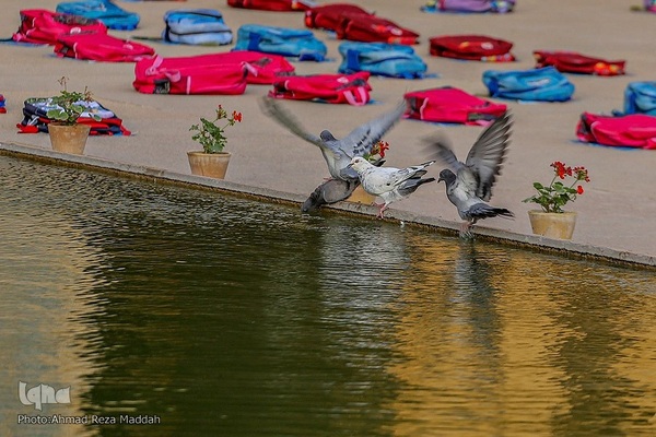 آیین توزیع ۱۵۰۰۰نوشت افزار میان دانش‌آموزان بی‌بضاعت فارس