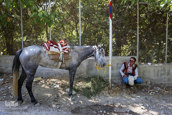 سوارکاران خراسان شمالی در راه مشهد
